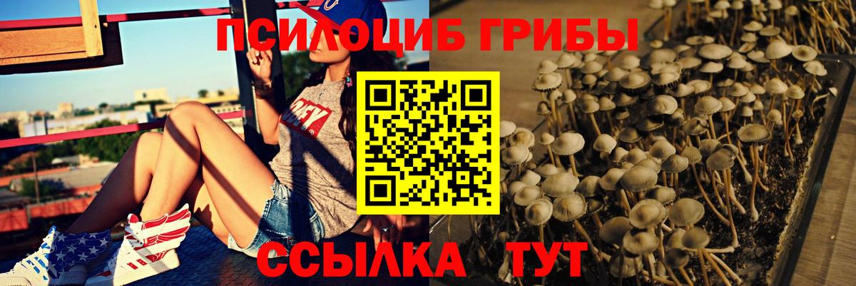 Галлюциногенные грибы Psilocybe  Псилоцибиновые грибы MAGIC MUSHROOMS  Дедовск  Вход с VPN 