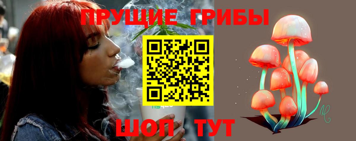 Псилоцибиновые грибы Cubensis Дедовск